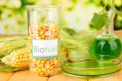 Short Green biofuel availability