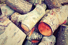 Short Green wood burning boiler costs